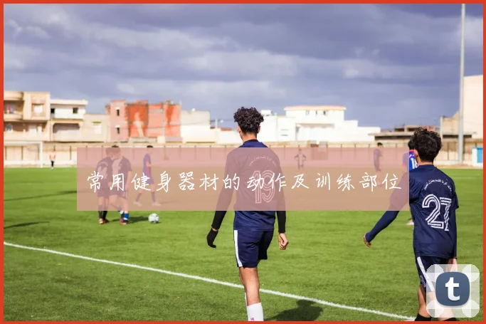 常用健身器材的动作及训练部位