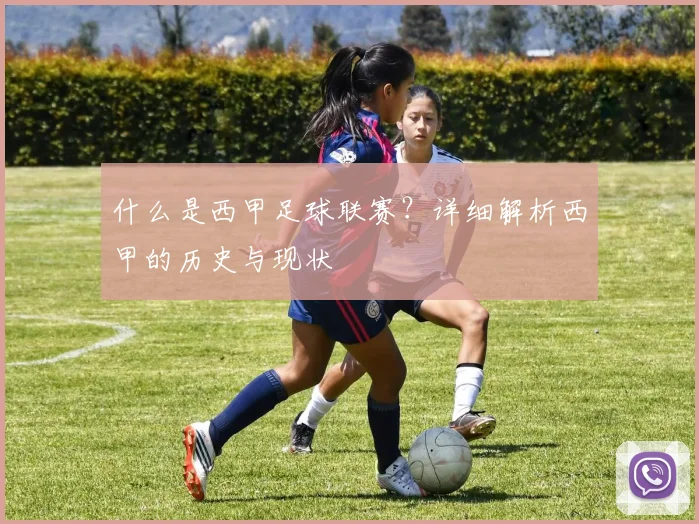 什么是西甲足球联赛？详细解析西甲的历史与现状
